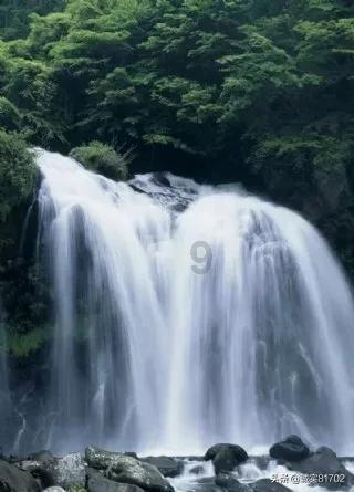 「美式葱油饼」,饲养了多少北漂白领?